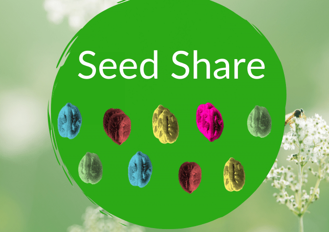 Green circle with colorful seeds inside. Text reads: Seed Share
