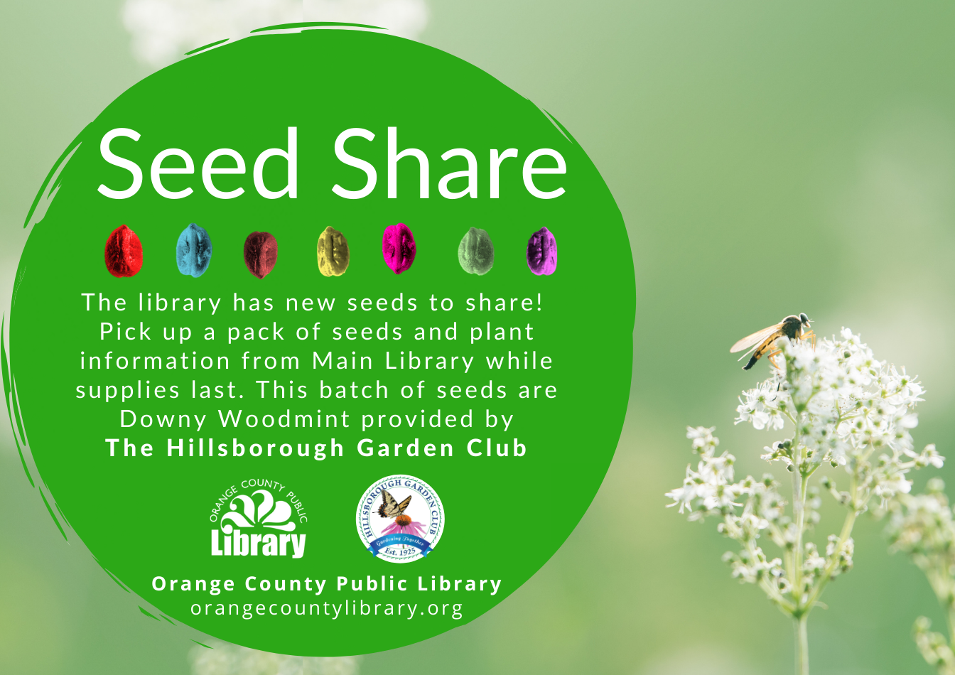Seed Share information for May 2022 reads: "The library has new seeds to share! Pick up a pack of seeds and plant information from Main Library while supplies last. This batch of seeds are Downy Woodmint (Blephilia ciliate) provided by The Hillsborough Garden Club."