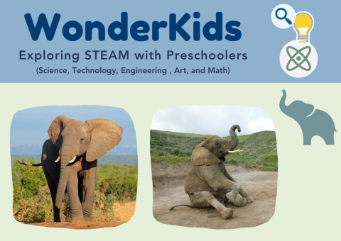 A small image of the program flyer with two photos of elephants.