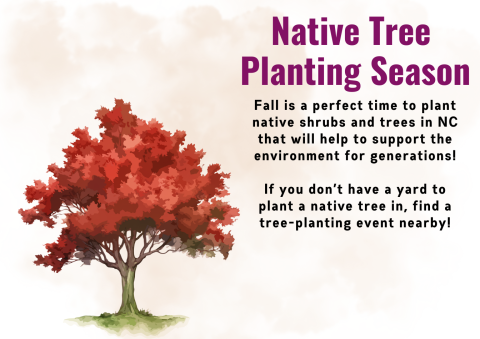 Fall is for planting trees.