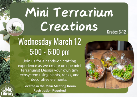 mini terrarium information