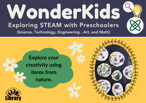 A small image of the program flyer with program description.