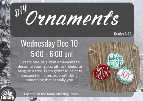 DIY Ornaments more information flyer 
