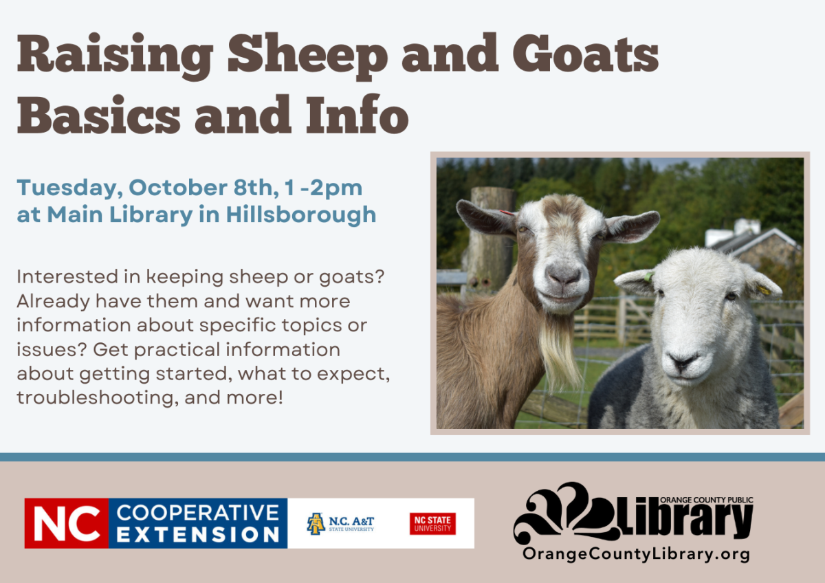 Raising Sheep and Goats Basics & Information