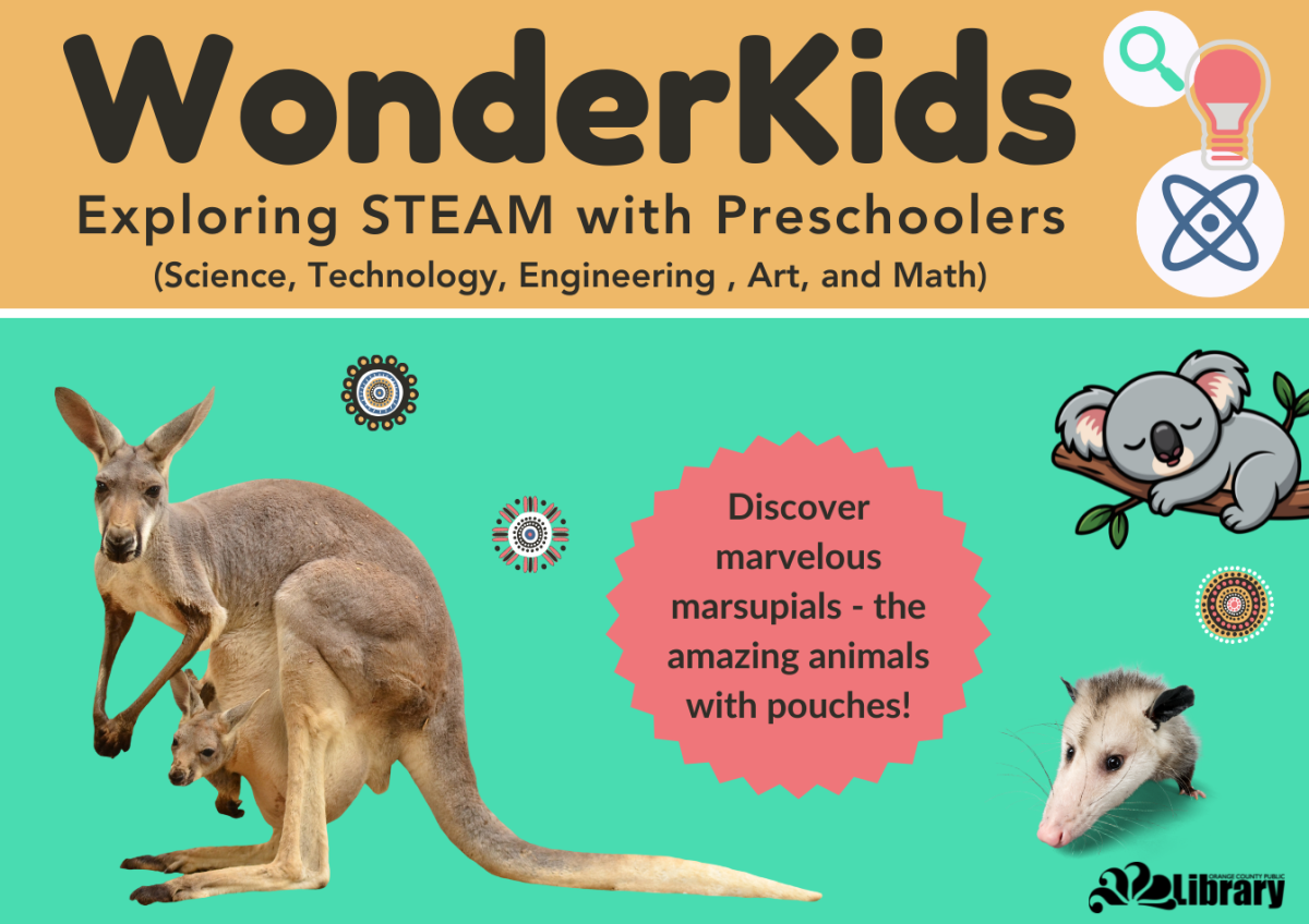 A small image of the program flyer with program description.